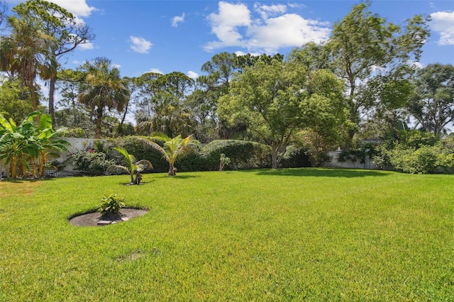 4214 Deepwater Ln, Tampa, FL 33615 - photo 59