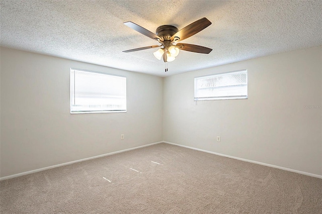 11641 Scallop Dr, Port Richey, FL 34668 - photo 22