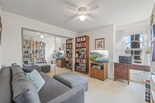 699 Malta Ct NE, Saint Petersburg, FL 33703 - photo 11