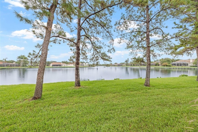 699 Malta Ct NE, Saint Petersburg, FL 33703 - photo 44