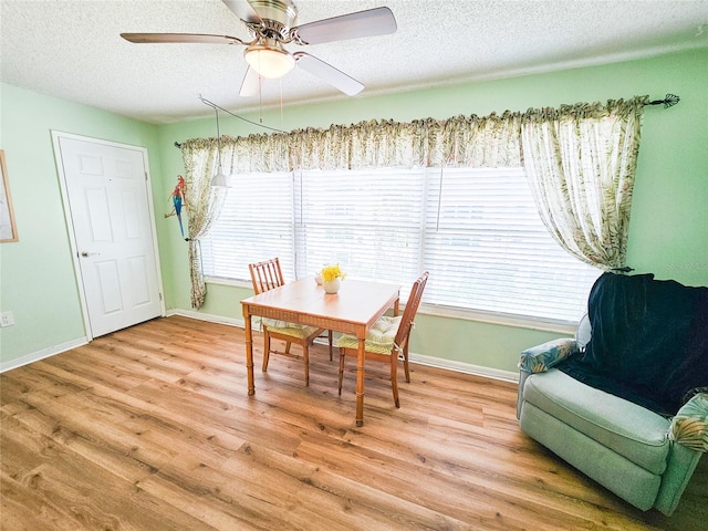 2960 S 59th St Unit 311, Gulfport, FL 33707 - photo 9
