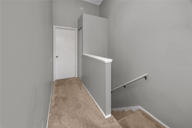5936 Bayside Key Dr, Tampa, FL 33615 - photo 24