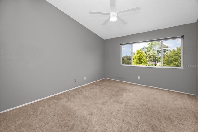5936 Bayside Key Dr, Tampa, FL 33615 - photo 27