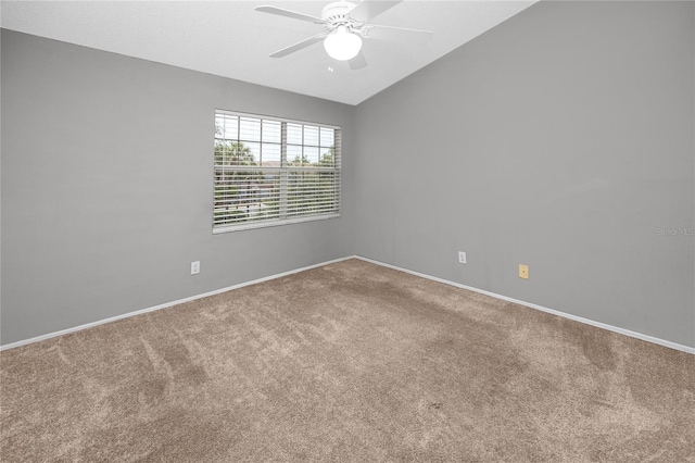 5936 Bayside Key Dr, Tampa, FL 33615 - photo 31