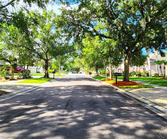 15008 Arbor Hollow Dr, Odessa, FL 33556 - photo 5