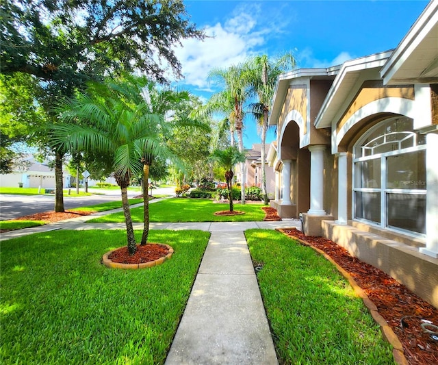 15008 Arbor Hollow Dr, Odessa, FL 33556 - photo 10