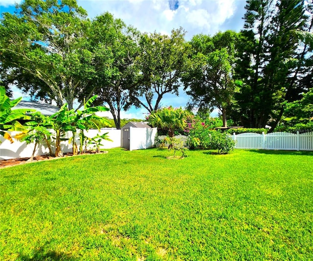 15008 Arbor Hollow Dr, Odessa, FL 33556 - photo 71