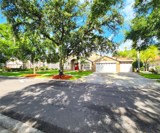 15008 Arbor Hollow Dr, Odessa, FL 33556 - photo 83