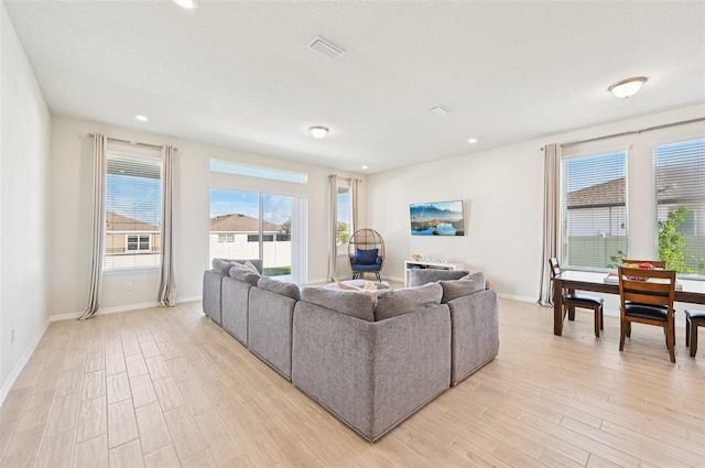 11713 Tetrafin Dr, Riverview, FL 33579 - living room with light wood finished floors and recessed lighting