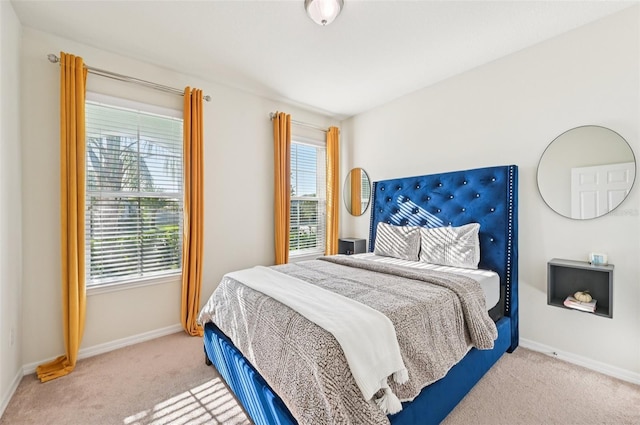 11713 Tetrafin Dr, Riverview, FL 33579 - bedroom featuring carpet floors and multiple windows