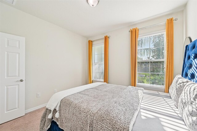 11713 Tetrafin Dr, Riverview, FL 33579 - bedroom featuring carpet and multiple windows