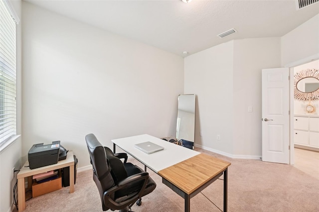11713 Tetrafin Dr, Riverview, FL 33579 - office area with light carpet and baseboards