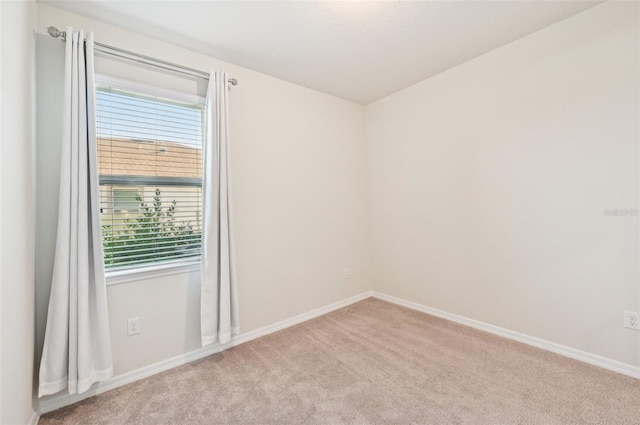 11713 Tetrafin Dr, Riverview, FL 33579 - carpeted empty room featuring healthy amount of natural light