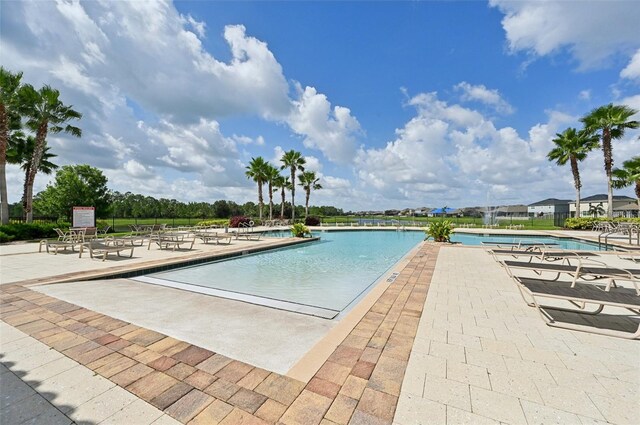 11713 Tetrafin Dr, Riverview, FL 33579 - community pool with a patio