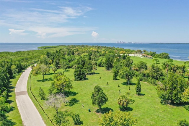 7611 S Faul St, Tampa, FL 33616 - photo 85