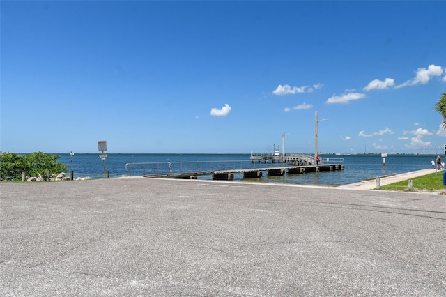 7611 S Faul St, Tampa, FL 33616 - photo 64
