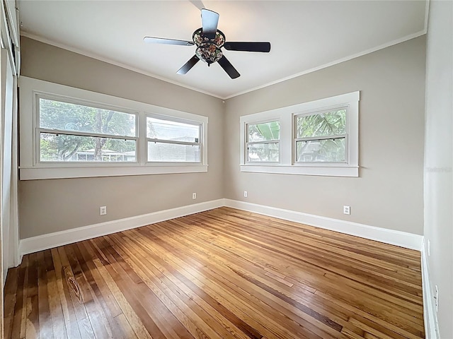 4595 9th Ave N, Saint Petersburg, FL 33713 - photo 70