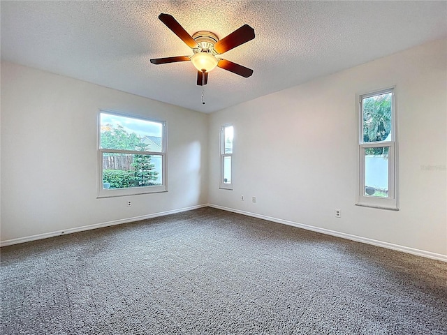 2776 Wesleyan Dr, Palm Harbor, FL 34684 - photo 27