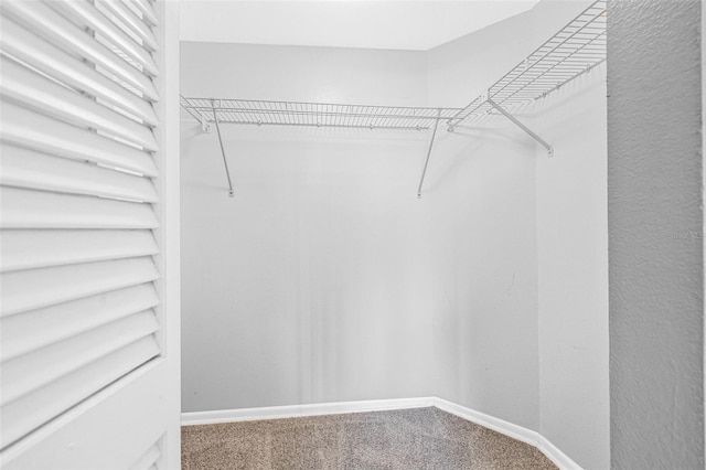2333 Feather Sound Dr Unit B208, Clearwater, FL 33762 - spacious closet with carpet floors