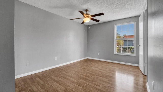 15701 Springmoss Ln, Tampa, FL 33624 - photo 39