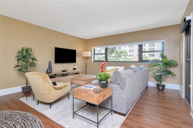 4141 Bayshore Blvd Unit 304, Tampa, FL 33611 - living room featuring light wood-type flooring and baseboards