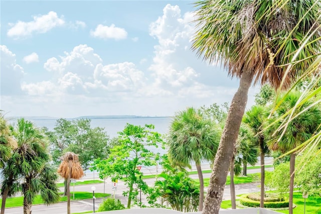 4141 Bayshore Blvd Unit 304, Tampa, FL 33611 - water view