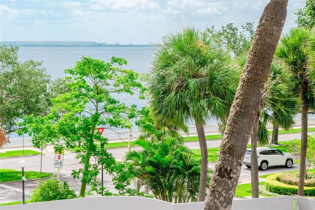 4141 Bayshore Blvd Unit 304, Tampa, FL 33611 - water view