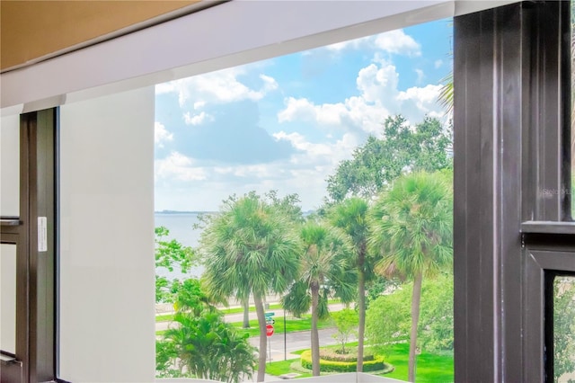 4141 Bayshore Blvd Unit 304, Tampa, FL 33611 - balcony featuring a water view