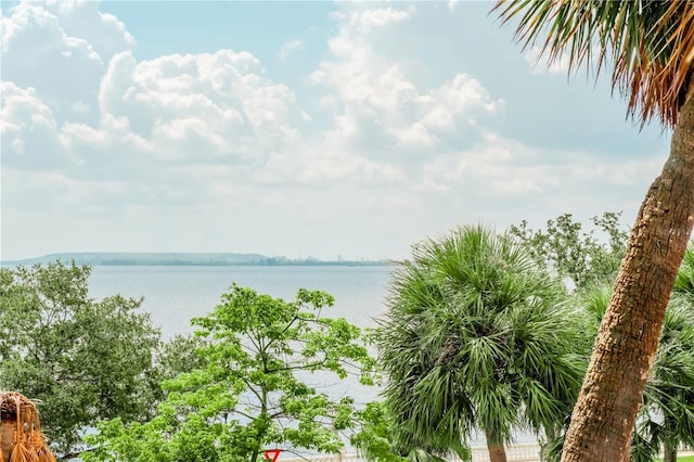 4141 Bayshore Blvd Unit 304, Tampa, FL 33611 - water view