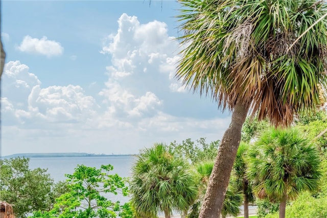 4141 Bayshore Blvd Unit 304, Tampa, FL 33611 - water view