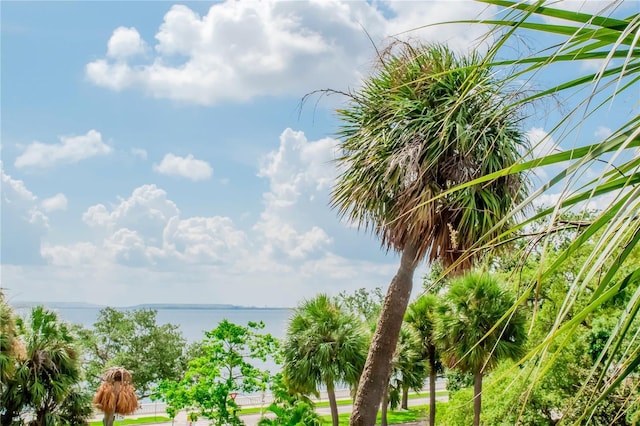 4141 Bayshore Blvd Unit 304, Tampa, FL 33611 - water view