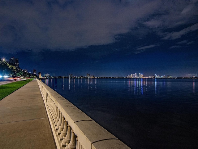 4141 Bayshore Blvd Unit 304, Tampa, FL 33611 - water view