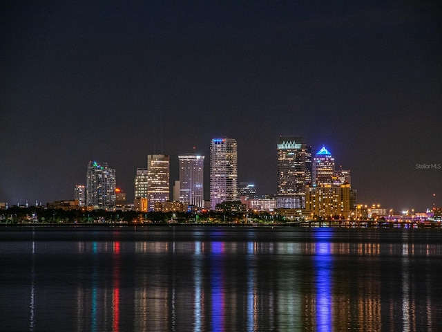 4141 Bayshore Blvd Unit 304, Tampa, FL 33611 - view of city featuring a view of city lights and a nearby body of water