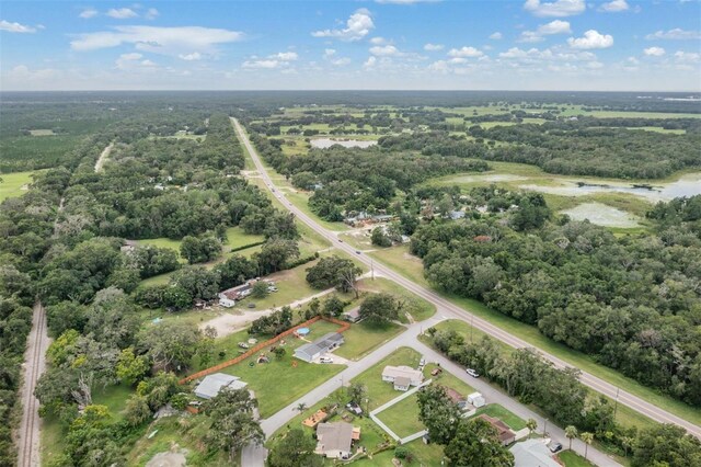 15008 Spokane Rd, Spring Hill, FL 34610 - drone / aerial view of a forest
