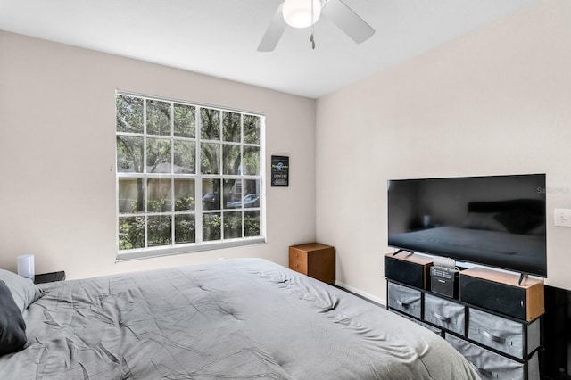 5125 Palm Springs Blvd Unit 10107, Tampa, FL 33647 - photo 16