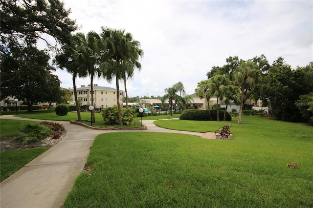 1235 S Highland Ave Unit 5-209, Clearwater, FL 33756 - view of community featuring a yard