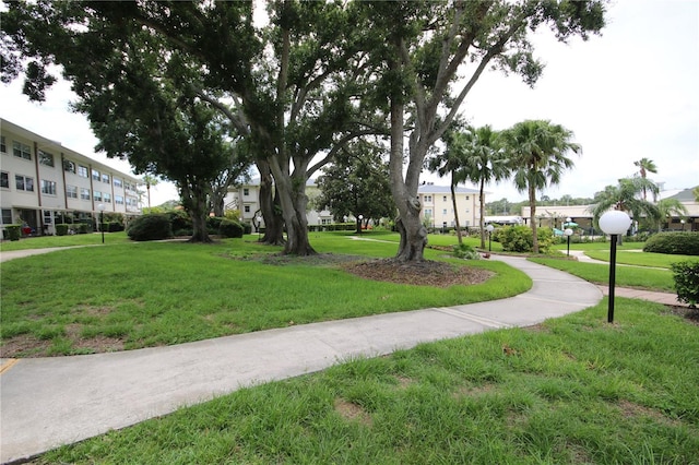 1235 S Highland Ave Unit 5-209, Clearwater, FL 33756 - view of community featuring a lawn