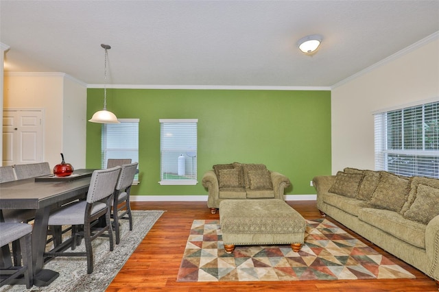 2605 Stardale Way, Lutz, FL 33558 - living room with crown molding and wood finished floors