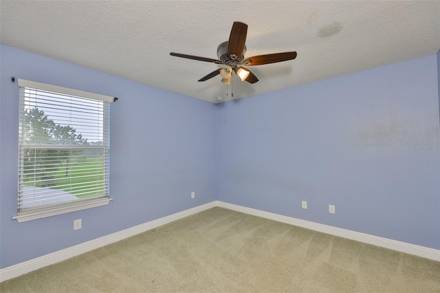 2605 Stardale Way, Lutz, FL 33558 - carpeted spare room featuring ceiling fan and a textured ceiling