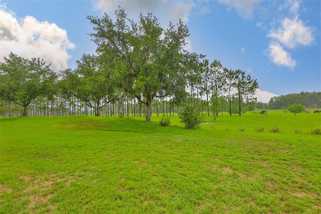 2605 Stardale Way, Lutz, FL 33558 - view of grassy yard