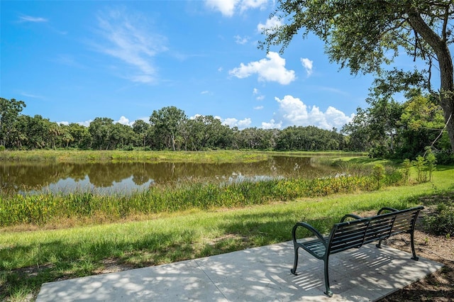 3402 W Bay Ave, Tampa, FL 33611 - photo 44