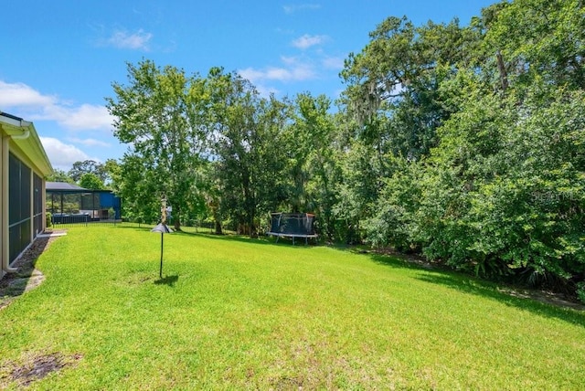 15942 Ternglade Dr, Lithia, FL 33547 - photo 45