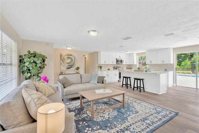 4723 Bloomingdale Ave, Valrico, FL 33596 - living area with healthy amount of natural light and light wood finished floors