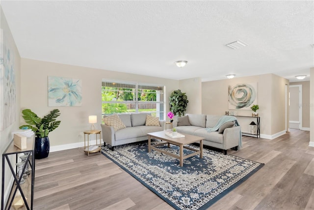 4723 Bloomingdale Ave, Valrico, FL 33596 - living room featuring light wood-style floors and a textured ceiling