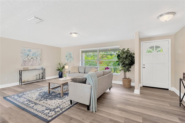 4723 Bloomingdale Ave, Valrico, FL 33596 - living area with light wood-type flooring and a textured ceiling