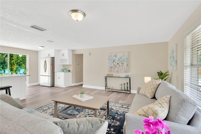4723 Bloomingdale Ave, Valrico, FL 33596 - living area with light wood-style floors and baseboards