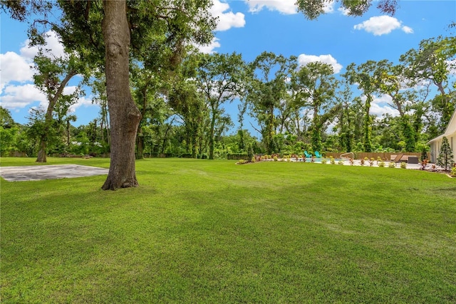 4723 Bloomingdale Ave, Valrico, FL 33596 - view of yard featuring view of wooded area