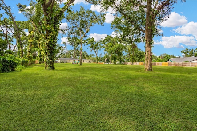 4723 Bloomingdale Ave, Valrico, FL 33596 - view of yard