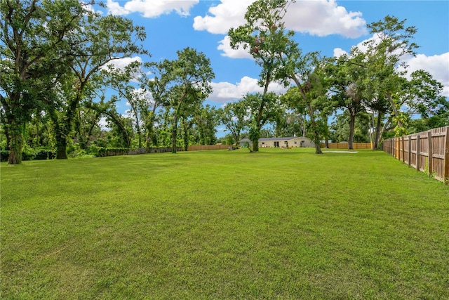 4723 Bloomingdale Ave, Valrico, FL 33596 - view of yard