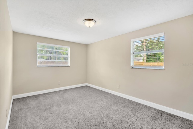 4723 Bloomingdale Ave, Valrico, FL 33596 - carpeted empty room with plenty of natural light